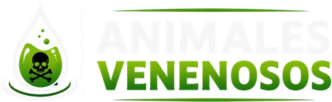 Animales Venenosos